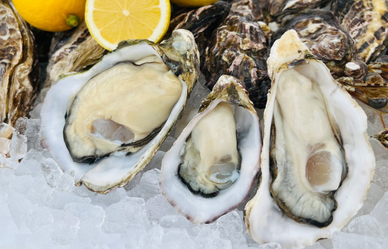 Liquid Freezer Claires Stripe Oyster