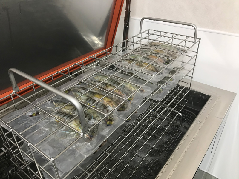 Freshness Preservation & Freezing Technology